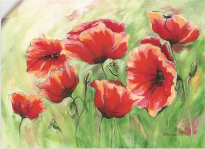 Produktbild von ARTland Wandbild, selbstklebend Rote Mohnblumen II Größe: 130x90 cm