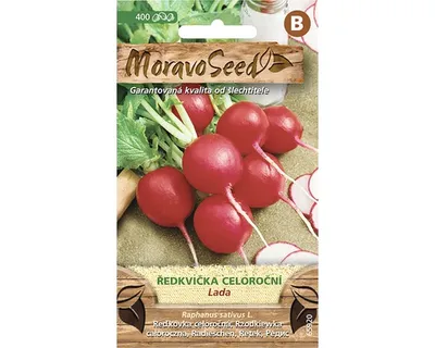 Obrázok produktu pre Reďkovka celoročná LADA červená MoravoSeed