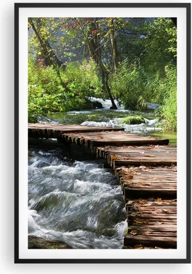 Produktbild von Gerahmtes Poster - Schwarzer Rahmen - Park natur grün bäume - 61x91,5 cm - Wand Bild - Wanddeko - Wandbilder - Kunstposter - Wandposter - Bilderrahmen - Bilder - Kunstdruck - Wandbild P2BPA61x91-0356