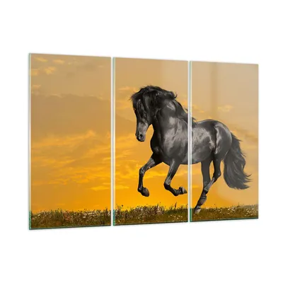 Produktbild von Bilder auf glas - Tiere Pferd Laufen Wiese - 105x70cm - Glasbilder - Wandbilder - Kunstdruck - zum Aufhängen bereit - Wanddekoration aus Glas - Glas Bilder - Wandbild auf Glas - GCE105x70-2248