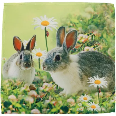 Produktbild von Tischdeckchen PIA Hasen Fotodruck Ostern Polyester 30 x 30 cm