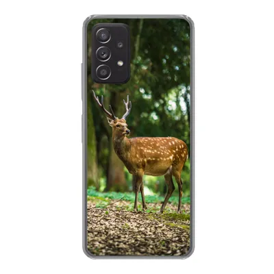 Produktbild von MuchoWow® Handyhülle Schutzhülle Hülle für Samsung Galaxy A53 5G Rotwild - Wald - Tier Silikon Softcase Handy Hülle - Schutzabdeckung