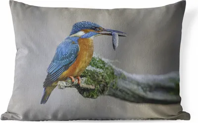 Produktbild von MuchoWow® Outdoor Kissen - Eisvogel - Fisch - Tier - 60x40 cm - Wetterfest - Lounge Kissen - Zierkissen - Kissen für Innenräume