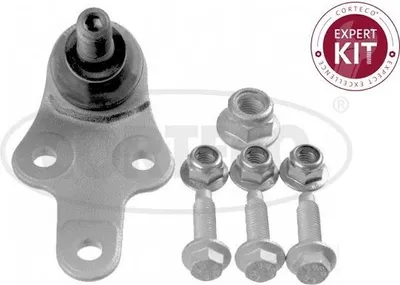 Produktbild von CORTECO Traggelenk Vorne Unten für FORD Focus II Schrägheck (DA, HCP, DP) 49398692