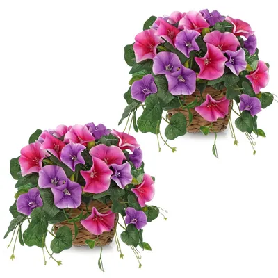 Immagine prodotto di Omgoods - Set di 2 piante decorative di petunia artificiali in vaso