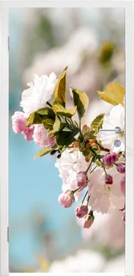 Produktbild von MuchoWow® Türtapete Selbstklebende Türfolie Blumen - Blüte - Frühling 90x215 cm Türposter Türaufkleber Klebefolie Türklebefolie - Plakat an der Tür - Türsticker - Aufklebern