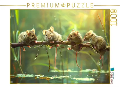 Produktbild von CALVENDO Puzzle Mäuseplausch | 1000 Teile Lege-Größe 64x48cm Foto-Puzzle für glückliche Stunden