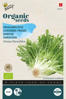 Obrázek produktu pro Buzzy Organic Endivien Grosse Pancalière -semena - Ca. 1 gr | Buzzy_92018