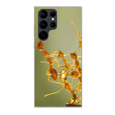 Produktbild von MuchoWow® Handyhülle Schutzhülle Hülle für Samsung Galaxy S22 Ultra Ameisen - Orange - Tiere Silikon Softcase Handy Hülle - Abbildung