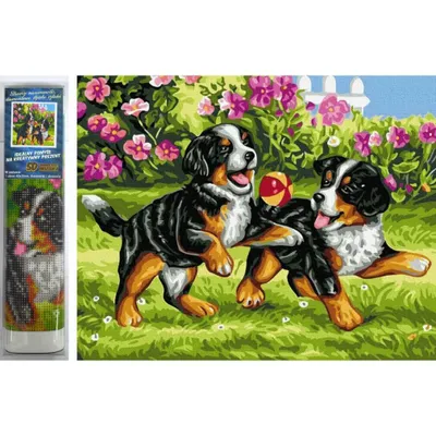 Imagen del producto de Pintura con diamantes de 40x30 cm, ideal para hacer tú mismo. Diseño: dos cachorros