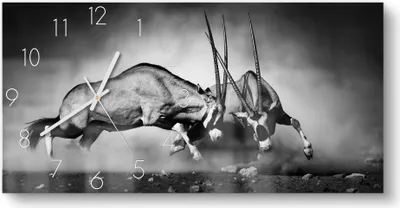 Produktbild von DEQORI Glasuhr 60x30 cm Zahlen 'Aggressive Oryxantilopen' Wanduhr Glas Uhr Design leise
