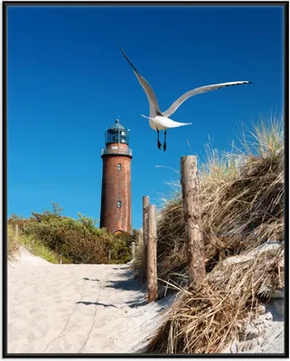 Produktbild von Wallario Wandbild Möwe am Strand mit Leuchtturm, Größe: 40,30 x 50,30 cm, Poster mit schwarzem Aluminiumrahmen