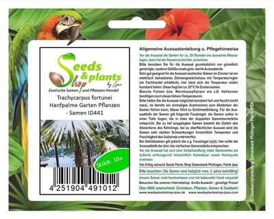 Produktbild von 10x Trachycarpus fortunei Hanfpalme Garten Pflanzen - Samen ID441