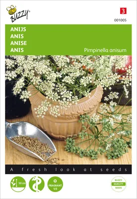Produktbild von Anis | Anissamen von Buzzy Seeds