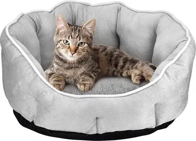 Produktbild von Famanu Katzenbett – Weich und komfortabel – 46 x 46 x 23 cm