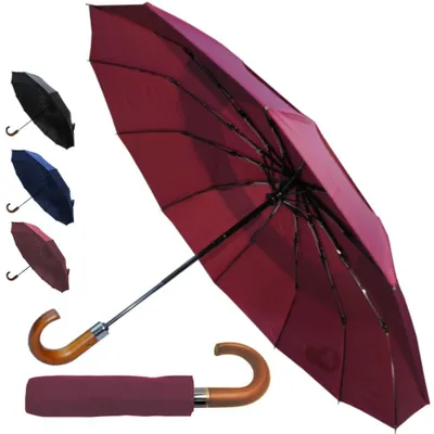 Image de Parapluie anti-tempête pliable, avec 12 baleines, idéal pour la pluie et le vent, compact et léger