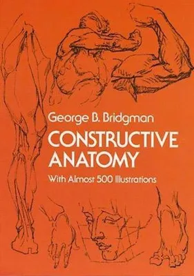 Produktbild von Constructive Anatomy