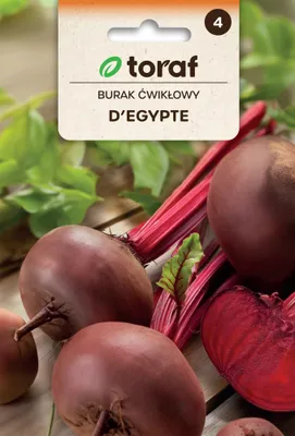 Zdjęcie produktu dla Burak ćwikłowy D'EGYPTE Nasiona 10g Toraf 15.