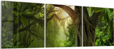 Produktbild von DEQORI Glasbild Echtglas 3x50x50 cm 'Urwaldgeheimnis' Wandbilder XXL groß