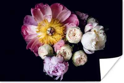 Produktbild von MuchoWow® Poster Blumen - Rosa - Pastell 60x40 cm - Schlafzimmerdekoration