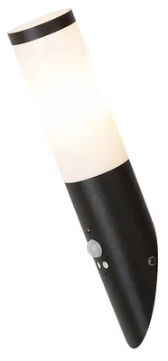 Obrázek produktu pro Rabalux Černé fasádní svítidlo s pohybovým čidlem Black Torch pro žárovku E27 8146
