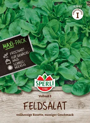 Produktbild von SPERLI Feldsalatsamen MaxiPack Volhart 3 Valerianella locusta 20g