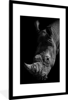 Produktbild von MuchoWow® MuchoWow® Gerahmtes Poster Nahaufnahme eines Nashorns auf schwarzem Hintergrund 60x90 cm - Poster mit zchwarzem Bilderrahmen - Dekoration - Wandposter Wohnzimmer - Hochwertig