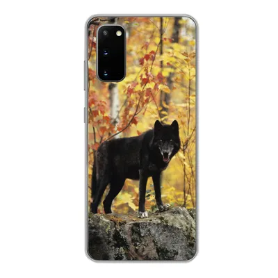 Produktbild von MuchoWow® Handyhülle Schutzhülle Hülle für Samsung Galaxy S20 Wolf - Fels - Baum Silikon Softcase Handy Hülle - Bild