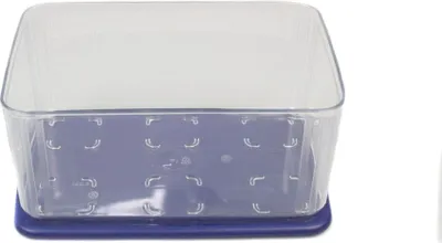 Produktbild von TUPPERWARE Kühlschrank Clear Mates 2,5L clear blau Frische-Turm Dose Behälter