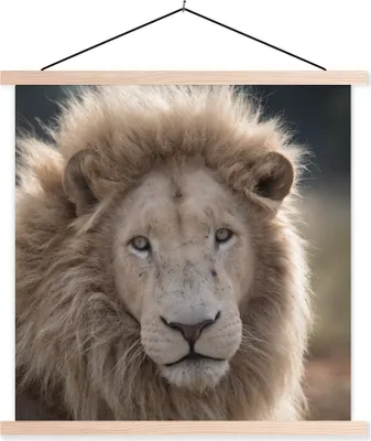 Produktbild von MuchoWow® Textilposter Löwe - Tier - Weiß 60x60 cm mit holzfarbenen Rahmen - Wanddekoration