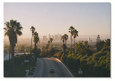 Produktbild von POSTER - 29x21 cm (A4) - Damian Jankowski - Palmen und die Skyline der Stadt im Sonnenschein -  Wandbild für Wohnzimmer Schlafzimmer & Flur, Modernes Poster Wanddeko, Ungerahmt