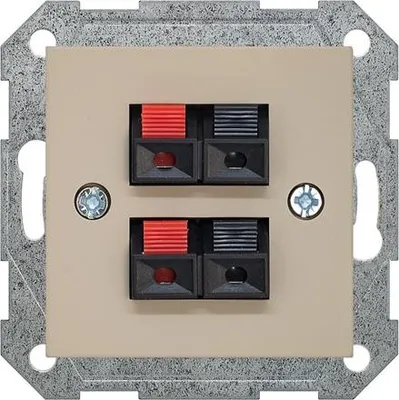 Obrázok produktu pre Liregus Igl-4-01.R/Onc 2 Way Audio Socket