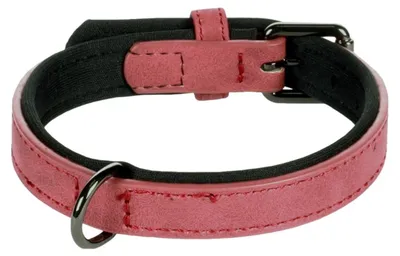 Image de Collier pour chien avec doublure néoprène