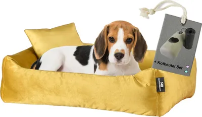 Produktbild von Rohrschneider Hundebett Kuschelsofa Hund Weich + Hundekotbeutelset, Farbe:senf, Größe:M