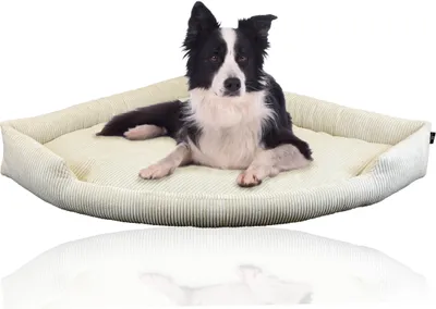 Produktbild von Rohrschneider RS 22336 Eck-Kuschelsofa Tabby Cord – Sofa mit Wendekissen GR.3 Beige