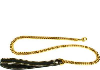 Produktbild von Hundeleine Tierluxe Gold Kette , Leder