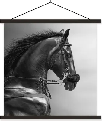 Produktbild von MuchoWow® Textilposter Pferde - Schwarz - Porträt - Tiere 90x90 cm mit schwarzem Rahmen - Magnetisches