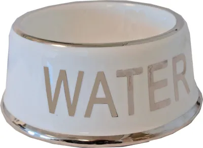 Image de Ecuelle pour eau Water Dog 18 x 8,5 cm céramique blanche