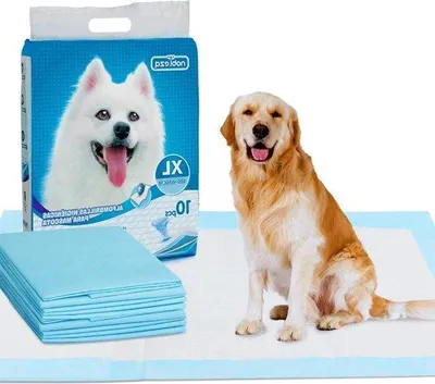 Produktbild von Famanu Trainingspads für Hunde - Hochabsorbierend und Hygienisch - 90 x 80 cm - 10 Stück