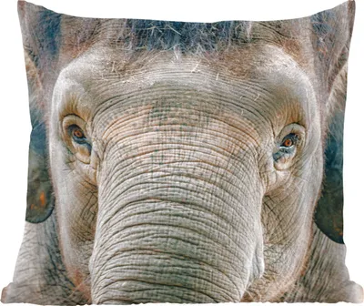 Produktbild von MuchoWow® Zierkissen Sofakissen Wohnzimmer Dekokissen 50x50 cm Elefant - Porträt - Tiere - Grau - Komfort - Sofakissen