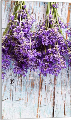 Produktbild von Glasschneidebrett 30x52 Lavendel
