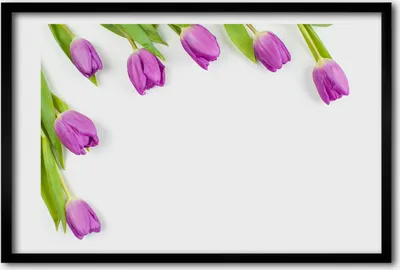 Produktbild von Bild 60x40 MDF-Rahmen, Wandkunst lila Tulpen