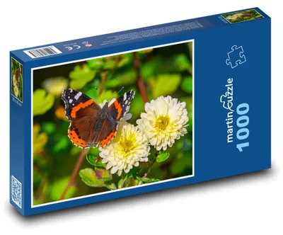 Produktbild von Puzzle 1000 Schmetterling auf blühenden Blumen - martinpuzzle