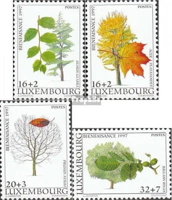 Produktbild von Briefmarken Luxemburg 1997 Mi 1431-1434 (kompl.Ausg.) postfrisch Einheimische Bäume