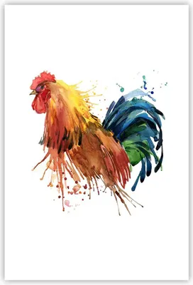 Produktbild von Poster - Poster ohne Rahmen - Hahn Ilustration Tier Farben - 61x91,5 cm - Wand Bild - Wanddeko - Wandbilder - Kunstposter - Wandposter - Bilder - Kunstdruck - Wanddekoration - Wandbild P2XPA61x91-2842