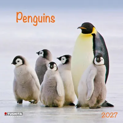 Obrázok produktu pre Tučniaci 2027