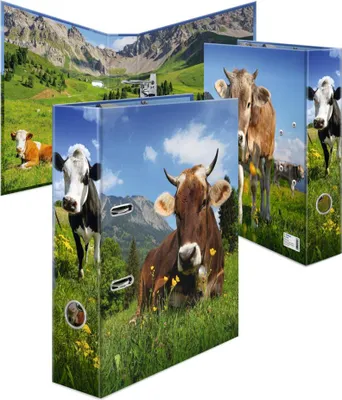 Produktbild von HERMA 20140, A4, Lagerung, Karton, Mehrfarbig, 7 cm, 1 Stück(e)