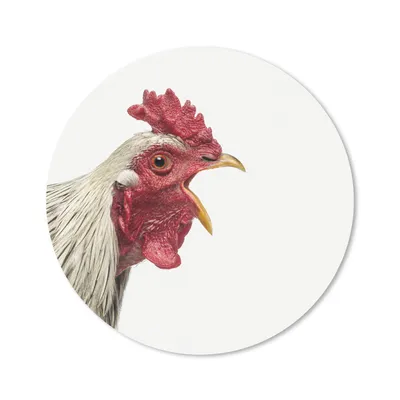 Produktbild von MuchoWow® Mauspad Mousepad Hahn - Tiere - Bauernhoftiere - Jungen - Kinder - Mädchen 20x20 cm - Mousepads - Maus Mat - Pad - Mausunterlage - Schreibtischmatte