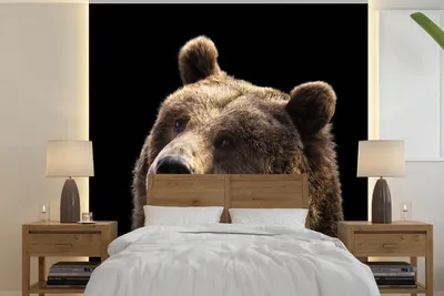 Produktbild von MuchoWow® Fototapete für Wohnzimmer oder Schlafzimmer Wandtapete Vinyl Motivtapete Bär auf schwarzem Hintergrund - 300x300 cm - Wanddekoration