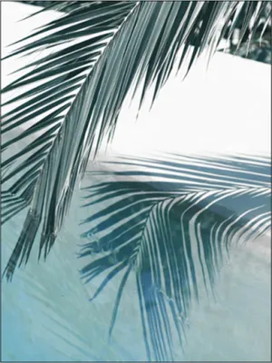 Produktbild von TPFLiving Kunstdruck LW-16 (OHNE RAHMEN) Poster - Leinwand - Wandbild - Hochauflösender Giclée-Druck, langlebig und hochwertig - Sommerlandschaft Blaues Meer und weißer Strand -  - Größe: 13x18cm